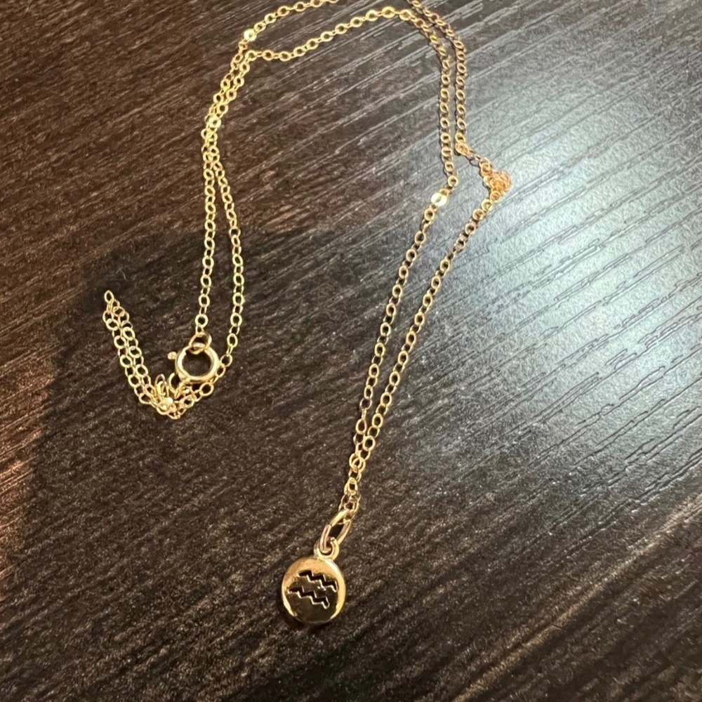 Aquarius necklace - gold fill